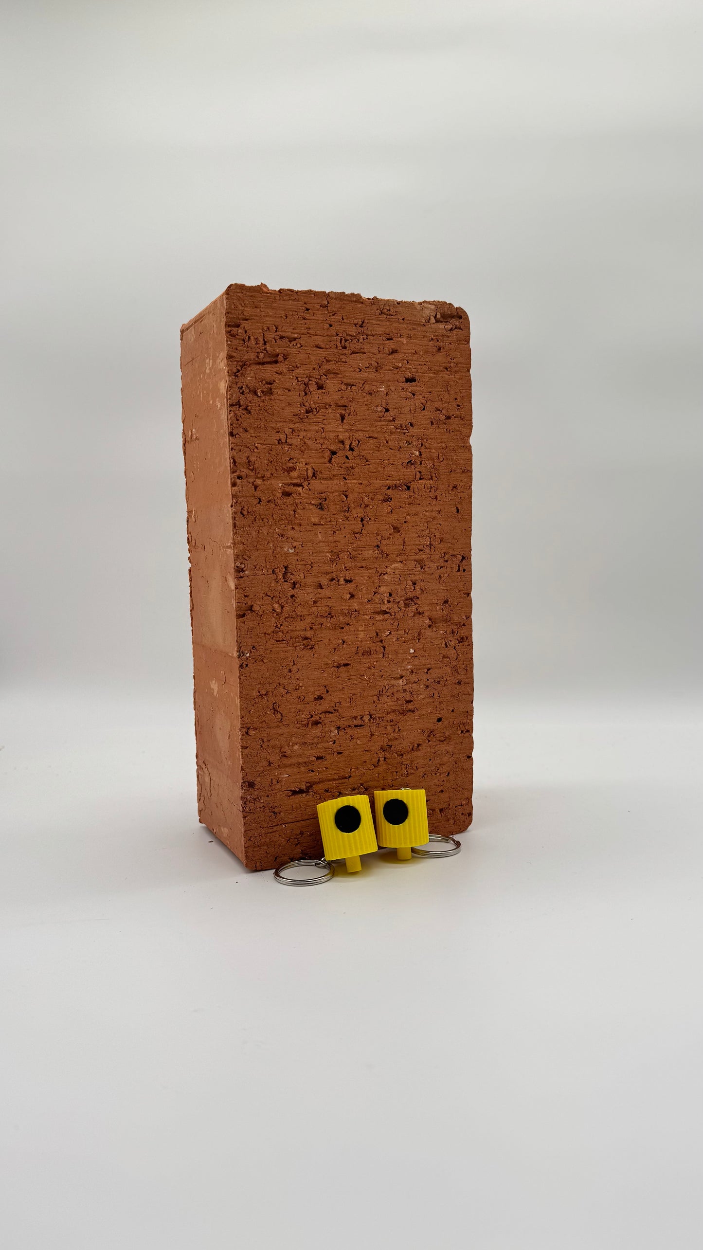 NY FatCaps – Keychain Duo Box | Yellow / Black